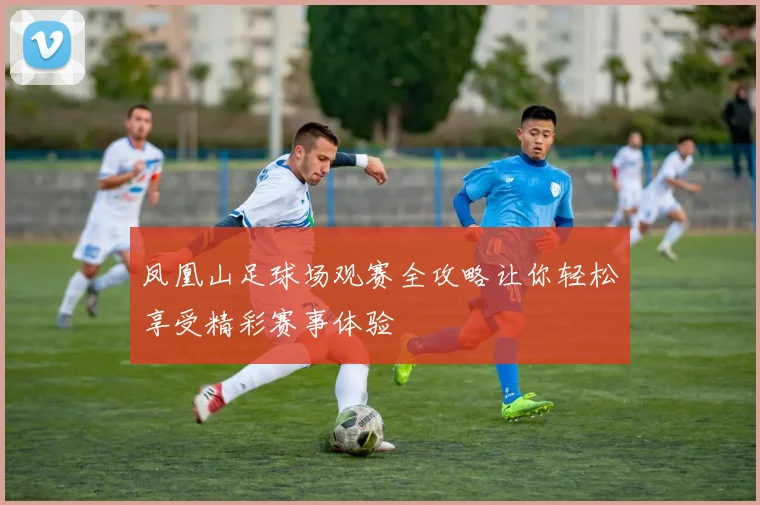 凤凰山足球场观赛全攻略让你轻松享受精彩赛事体验