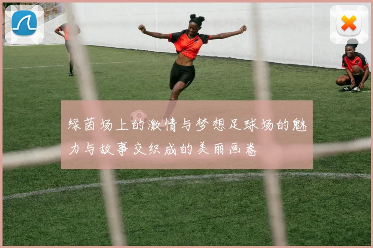 绿茵场上的激情与梦想足球场的魅力与故事交织成的美丽画卷