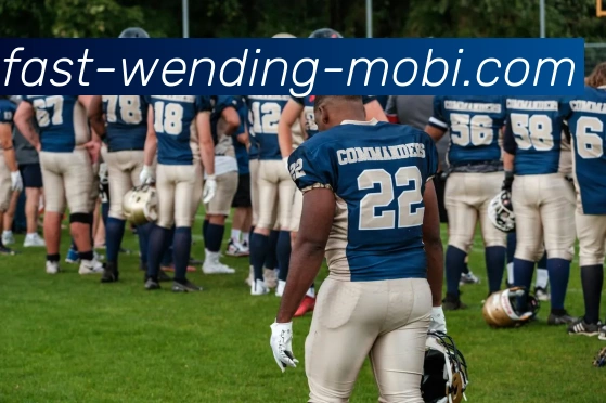 问鼎娱乐下载平台生态图